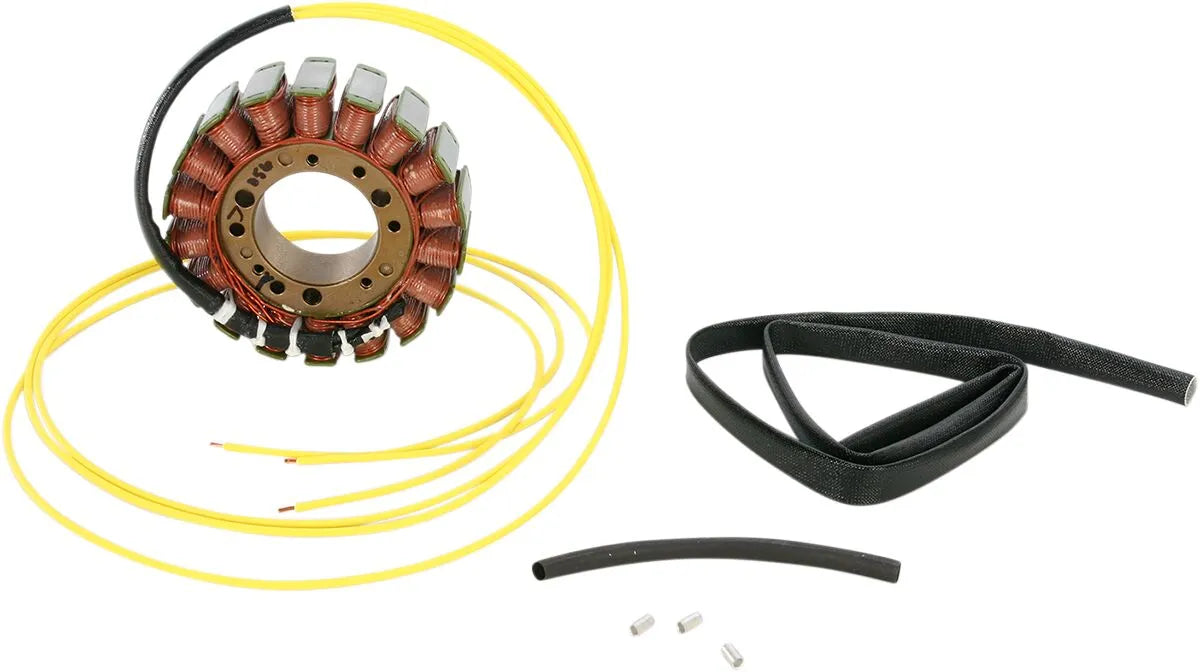 RICK'S MOTORSPORT ELECTRIC Stator för CANAM bild 1 PMMEDIA:c4b6f1f7c618ae39