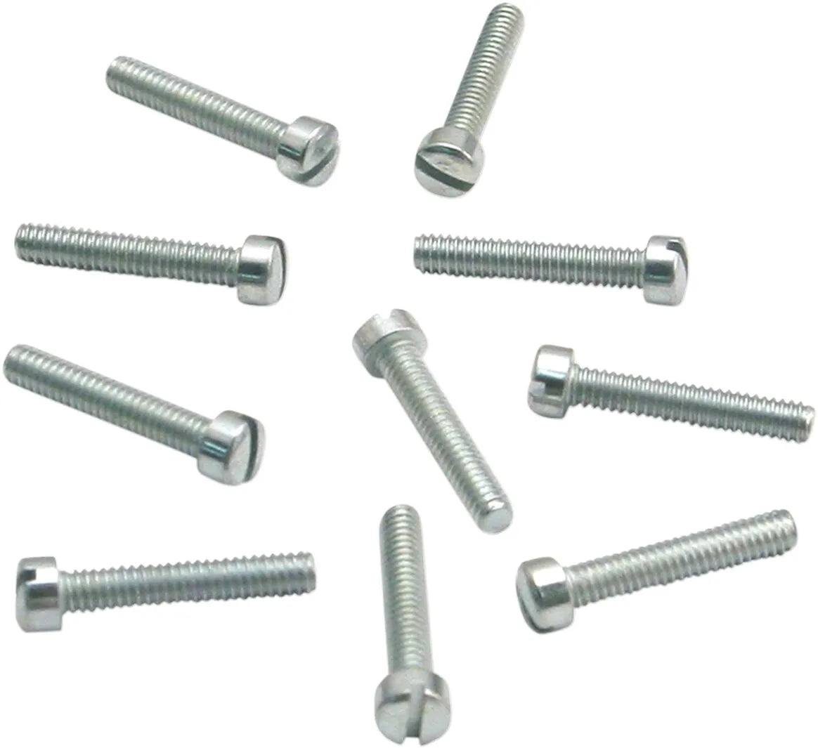 S&S CYCLE Skruvar Slotted Flat Head 10-pack bild 1 PMMEDIA:2a96a7493d62e3c8