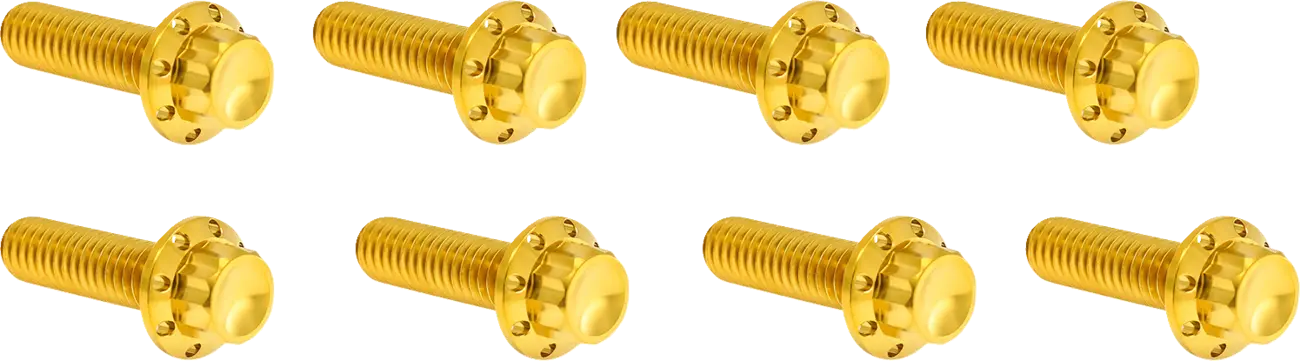 Arlen Ness Lifter Block Titanium 12-Point Bolt Kit Monteringssats fordonsanpassade bild 3 PMMEDIA:9a581a31a31694e7