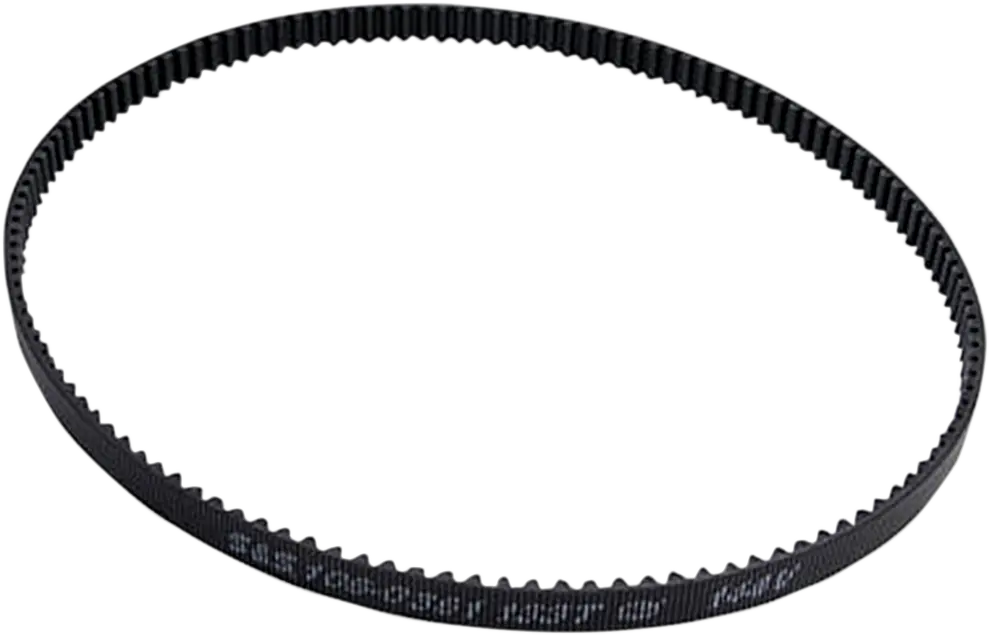 S&S CYCLE High Strength Drivrem Bak 1,125"x135T bild 1 PMMEDIA:8867a82fbdc0fe5e