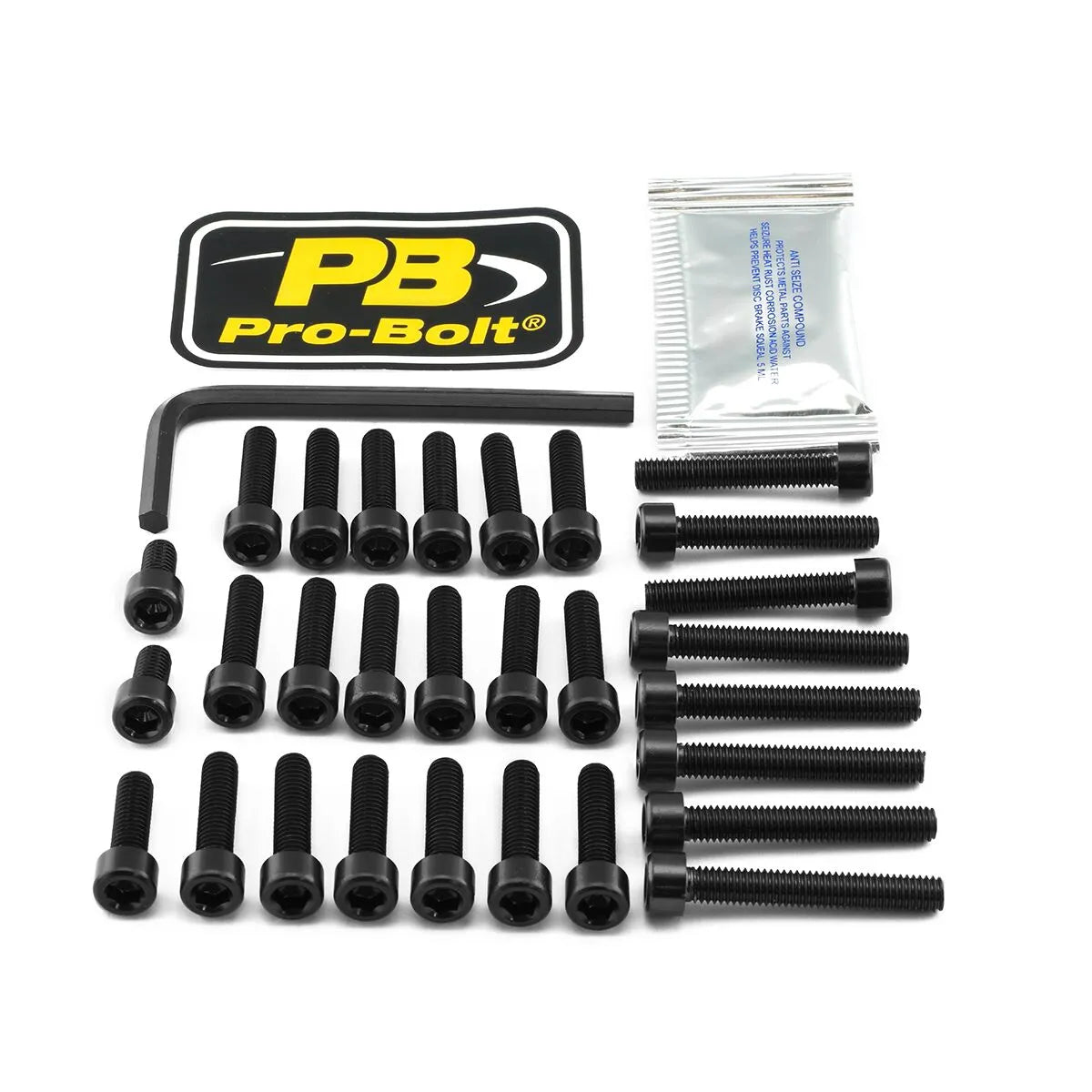 PRO BOLT Bultkit för motor - svart EOAP210BK bild 1 PMMEDIA:6bee2dcbea389d2f