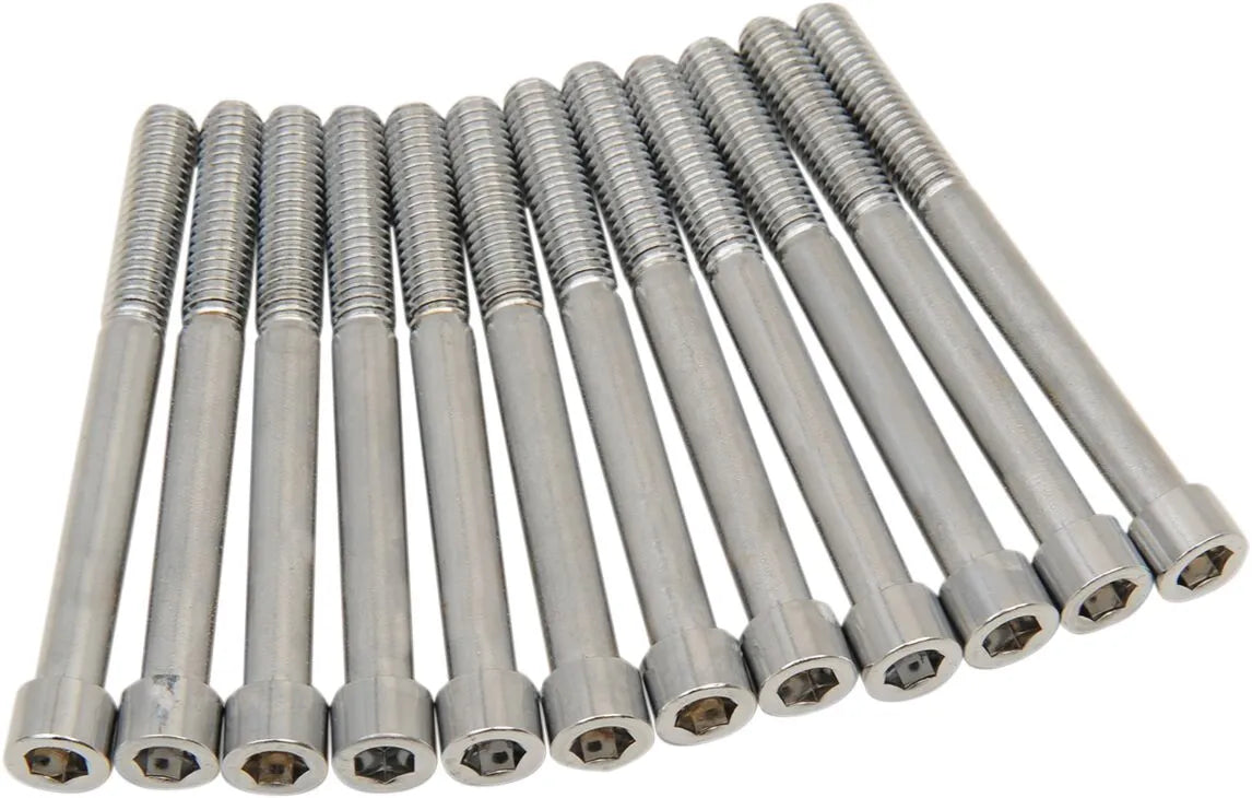 DRAG SPECIALTIES M-Eight Bolt Kit krom bild 1 PMMEDIA:d67b858284f6aa15