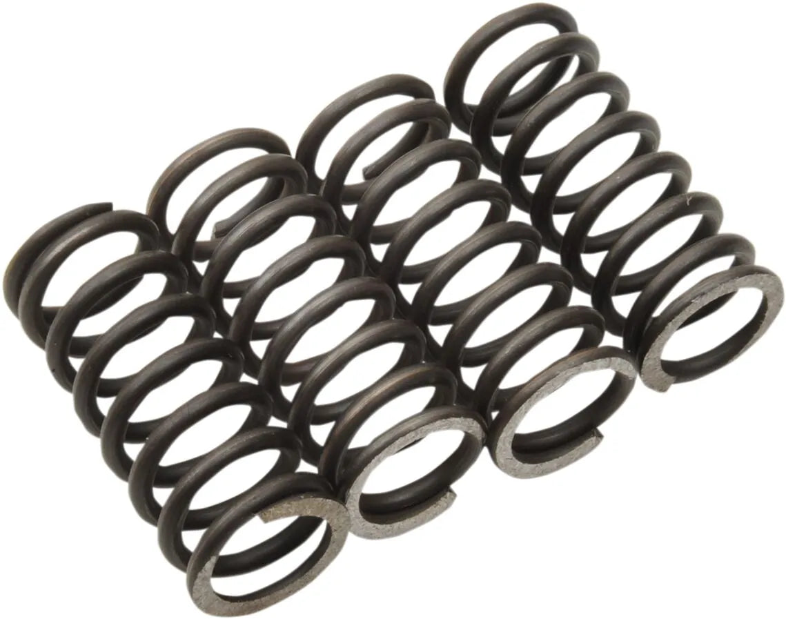 MOOSE OFFROAD HARD-PARTS Kopplingsfjädrar TTR125 02+ bild 1 PMMEDIA:b755909f15260750