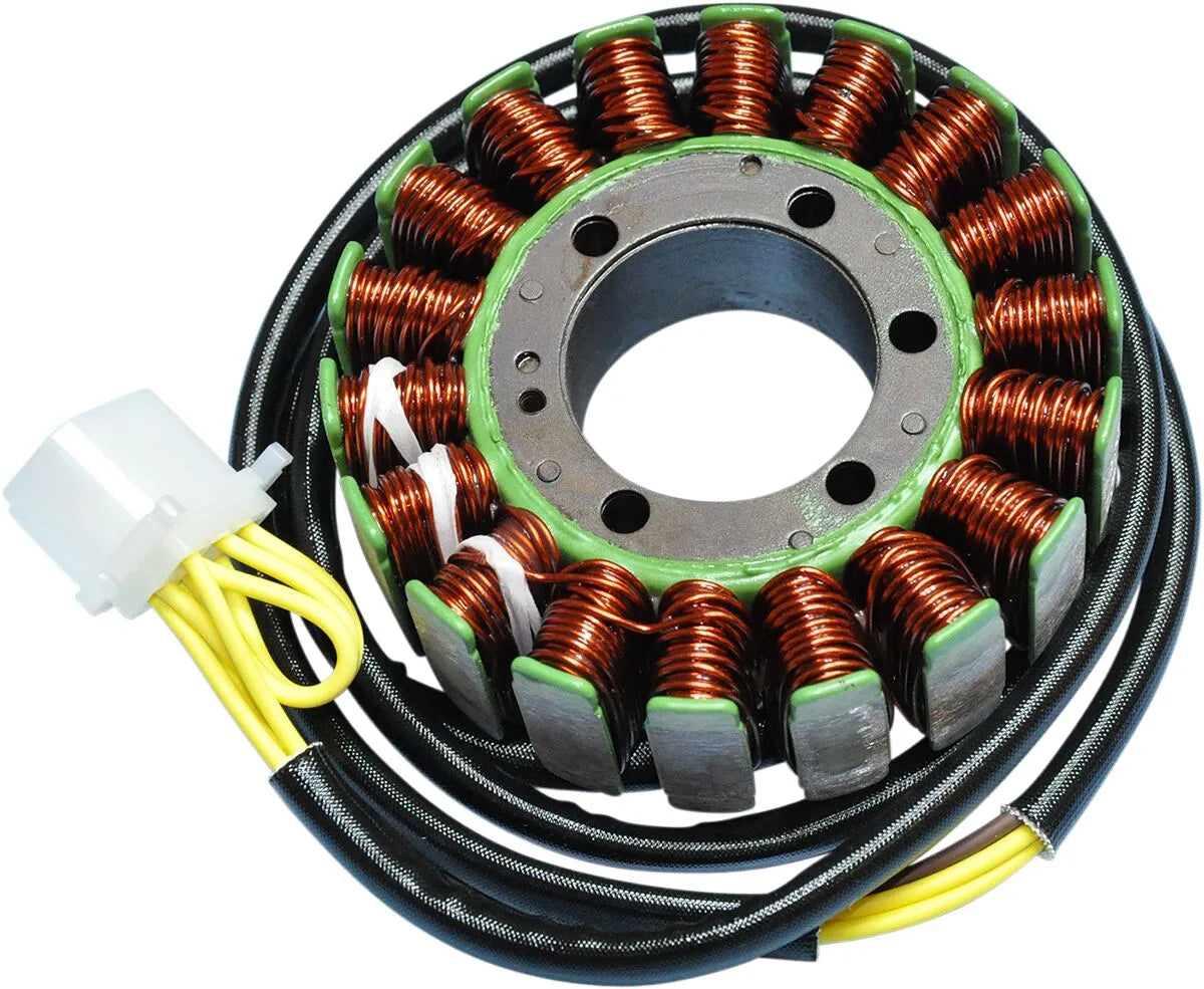 RICK'S MOTORSPORT ELECTRIC Stator Polaris 18-polig bild 1 PMMEDIA:26ca525bf914b92d