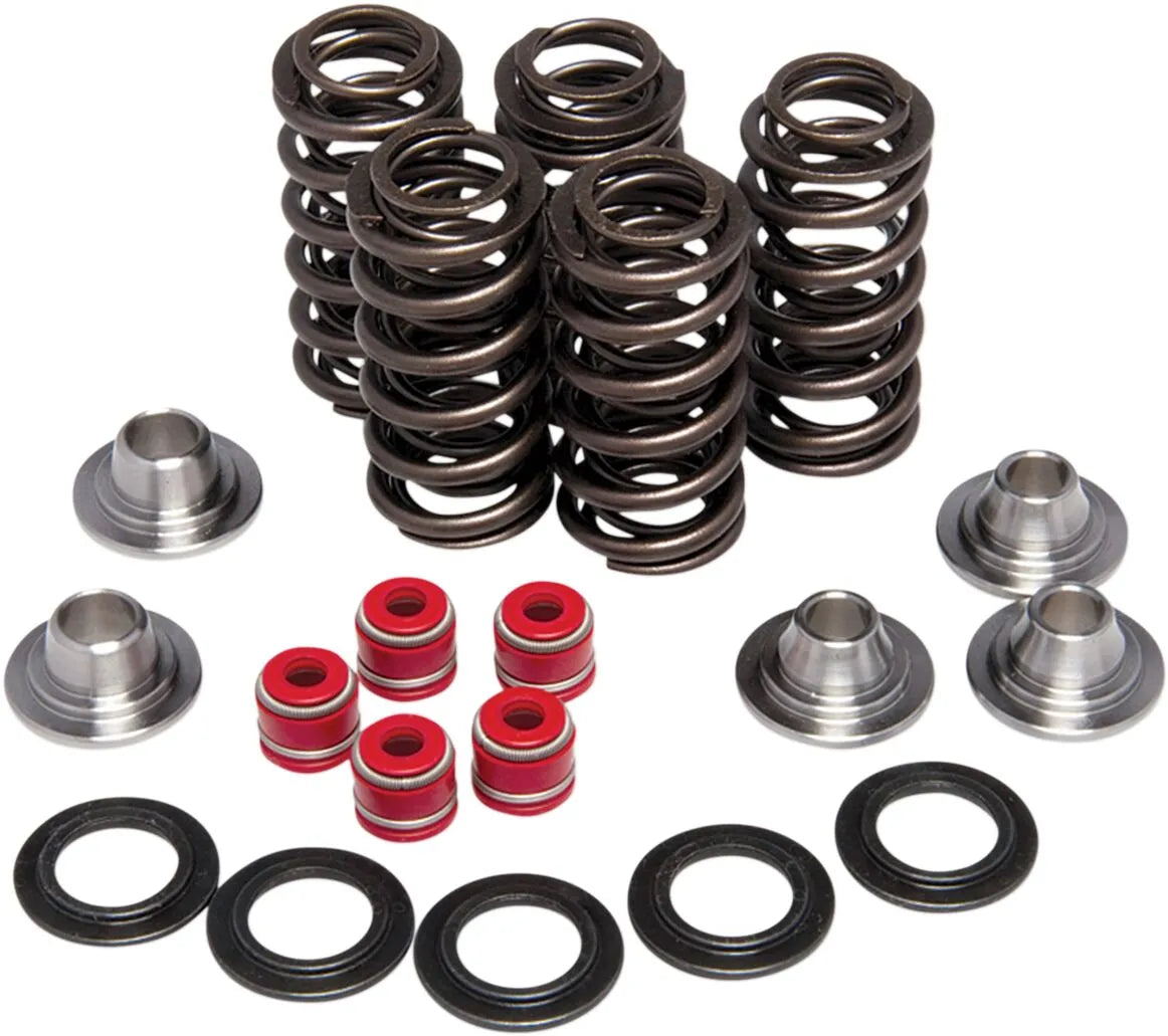 KIBBLEWHITE YZ450 Lättvikts Racing Ventilfjäder Kit bild 1 PMMEDIA:bb3c5330e7c46d28