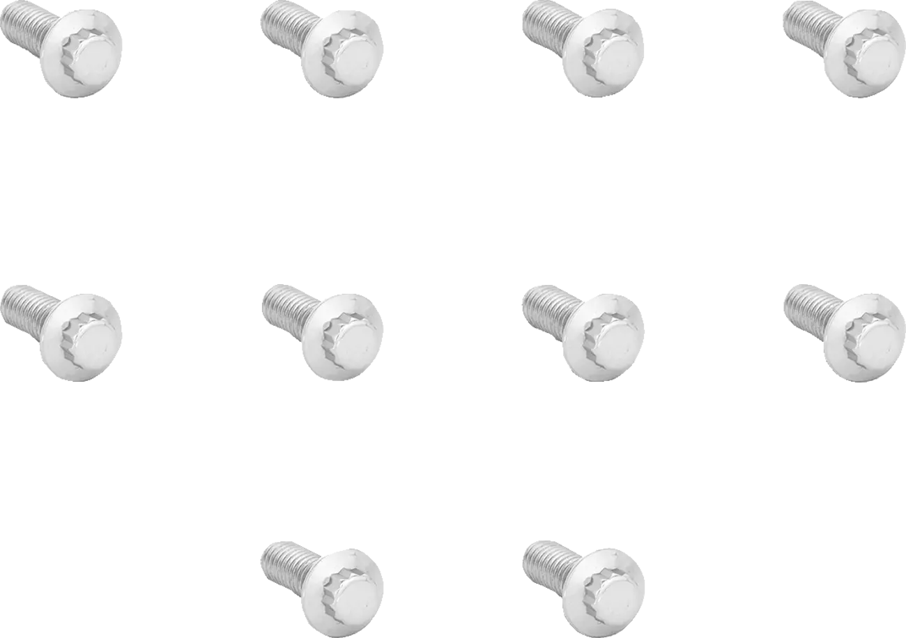 ARLEN NESS 12-Point Rotor Bolt Kit i rostfritt stål bild 1 PMMEDIA:5493aa6bcff8ff83