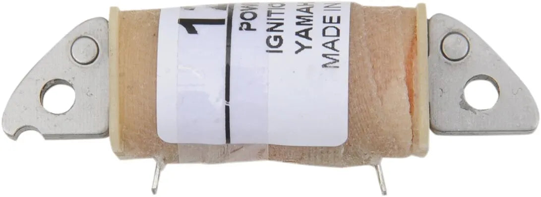 RICK'S MOTORSPORT ELECTRIC Laddspole Yamaha bild 1 PMMEDIA:ec1d60e35b395a39