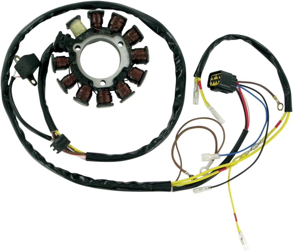RICK'S MOTORSPORT ELECTRIC Stator Polaris Late bild 1 PMMEDIA:84860de840d6de2c