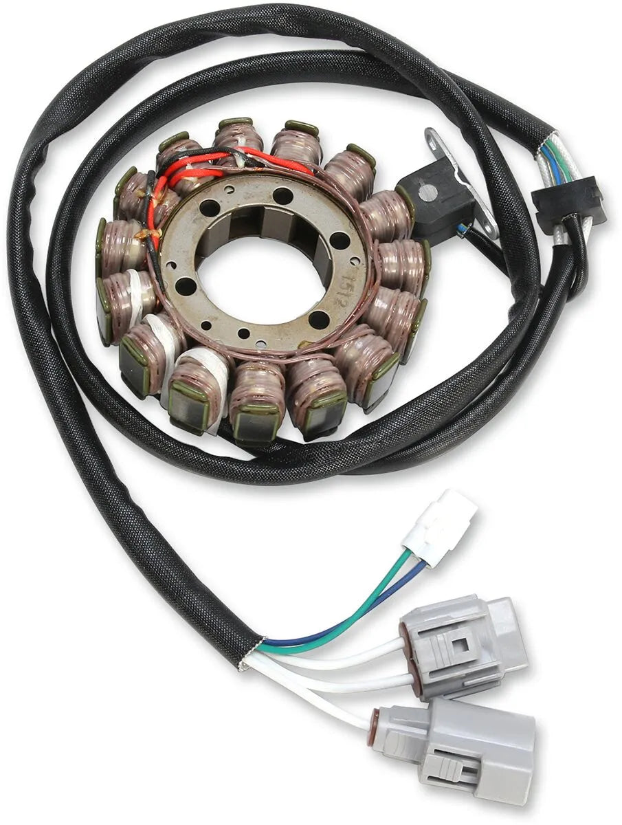 RICK'S MOTORSPORT ELECTRIC Stator för Kawasaki bild 1 PMMEDIA:3ce862c65cb64a2b