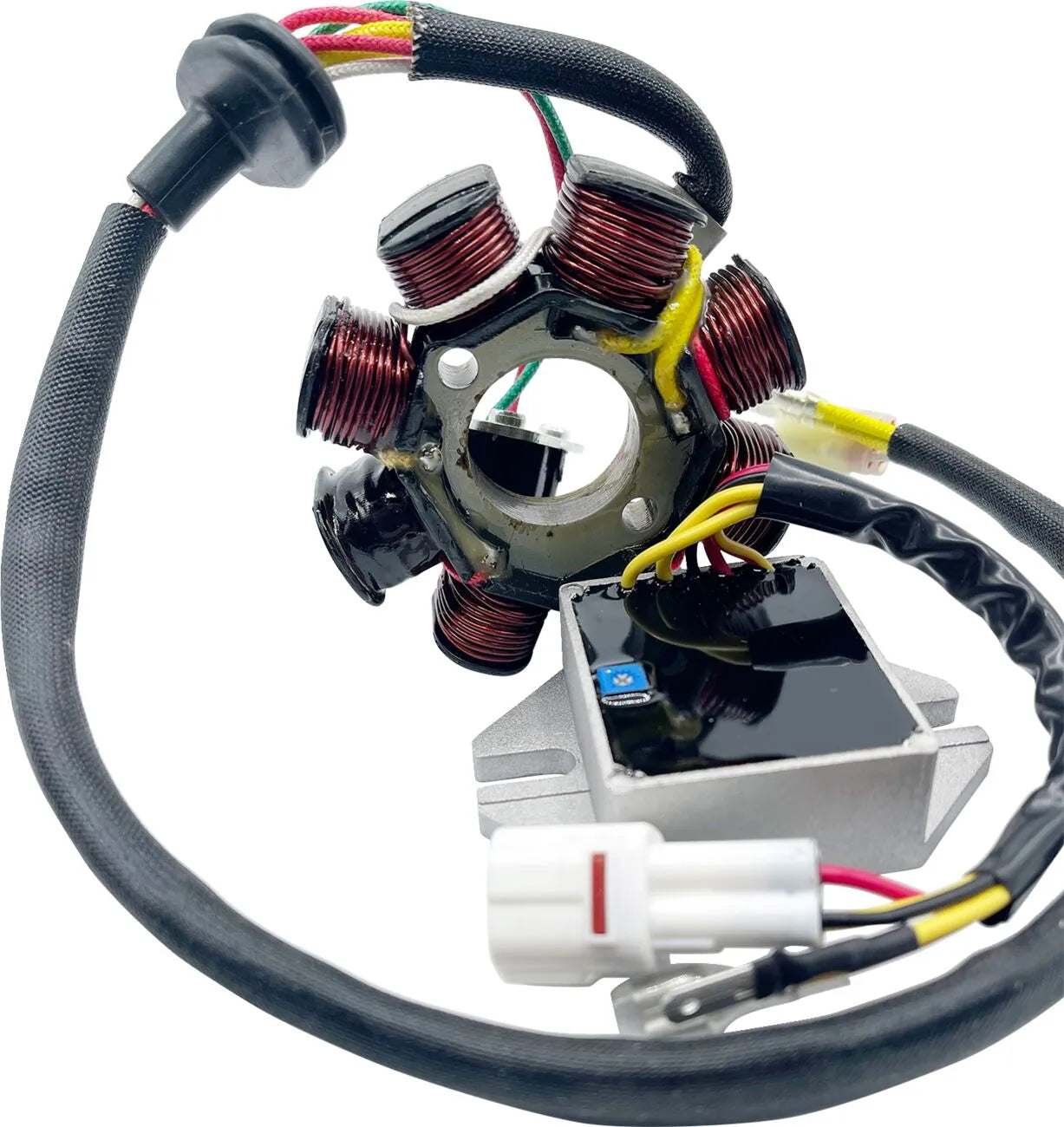 RICK'S MOTORSPORT ELECTRIC Lithium-Ion Kompatibelt Laddningskit bild 1 PMMEDIA:c86988bb694de72c
