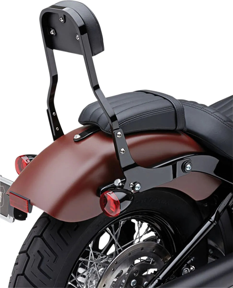 Cobra Detachable Backrest Kit Sissybars bild 1 PMMEDIA:0ca2e5fc2b751c92