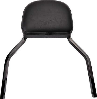 Cobra Detachable Backrest Kit Sissybars bild 15 PMMEDIA:7eaffb320f4396ed