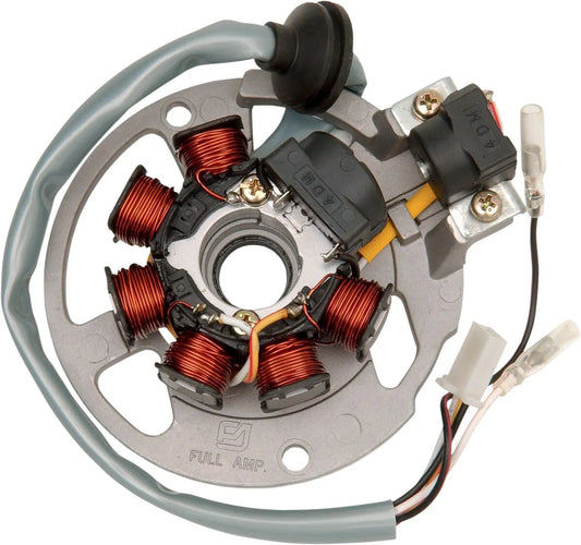 RICK'S MOTORSPORT ELECTRIC Stator Polaris bild 1 PMMEDIA:37a0e202d16ffb3a