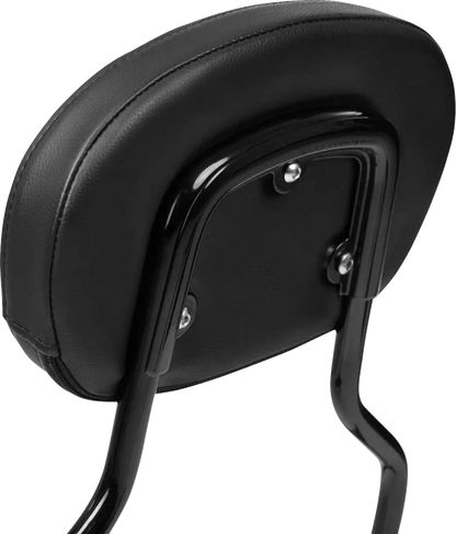 Saddlemen 3-Point Sissy Bar Pad Bracket Ryggstöd för sadlar bild 4 PMMEDIA:1dc983d0b0eedf06