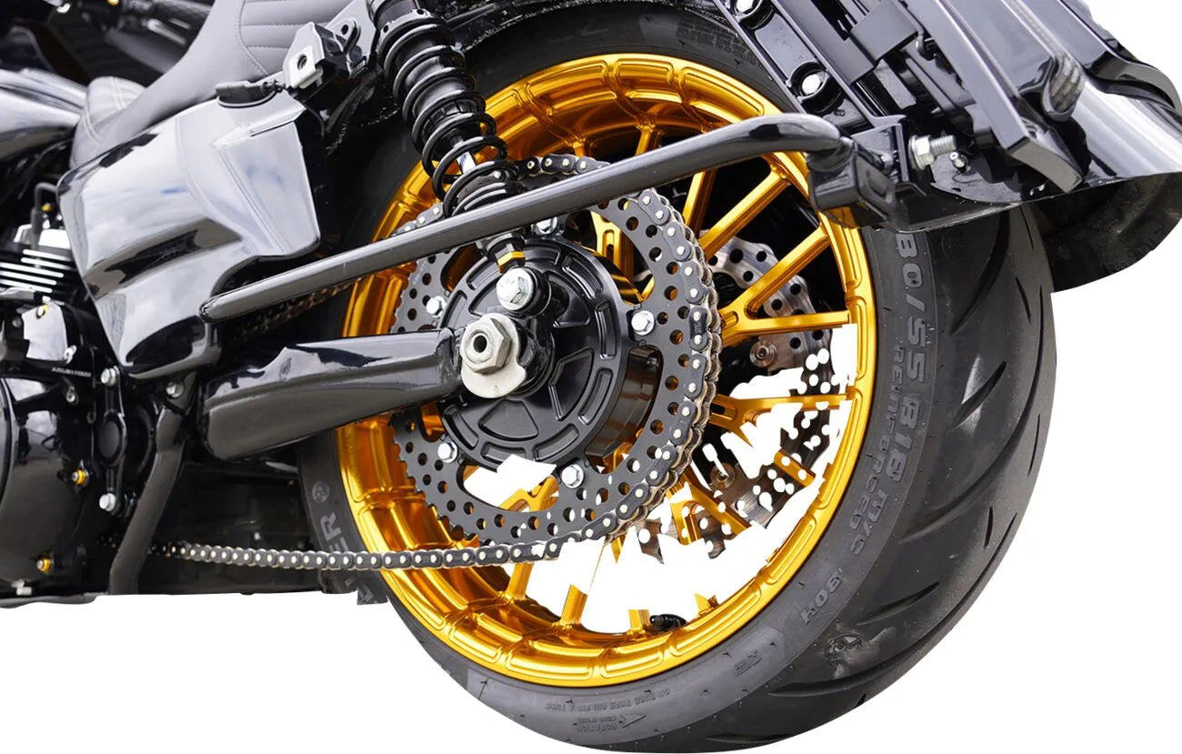 Arlen Ness Chain Drive Conversion Kit Bakdrev stål bild 3 PMMEDIA:904a34629877cf98