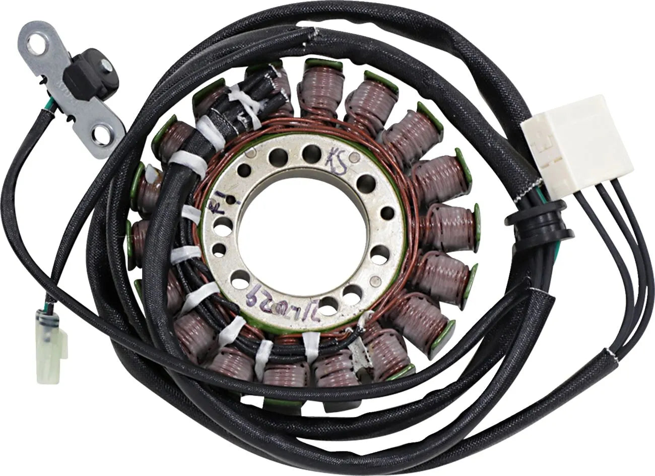 RICK'S MOTORSPORT ELECTRIC Stator för Triumph 21-029 bild 1 PMMEDIA:aa62302665a690c3