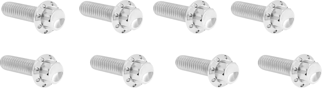 Arlen Ness Lifter Block Titanium 12-Point Bolt Kit Monteringssats fordonsanpassade bild 1 PMMEDIA:22b48b3d598b2da0