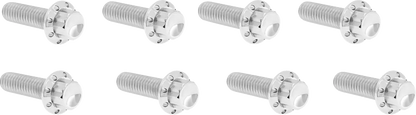 Arlen Ness Lifter Block Titanium 12-Point Bolt Kit Monteringssats fordonsanpassade bild 1 PMMEDIA:22b48b3d598b2da0