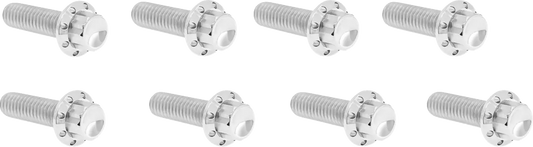 Arlen Ness Lifter Block Titanium 12-Point Bolt Kit Monteringssats fordonsanpassade bild 1 PMMEDIA:22b48b3d598b2da0