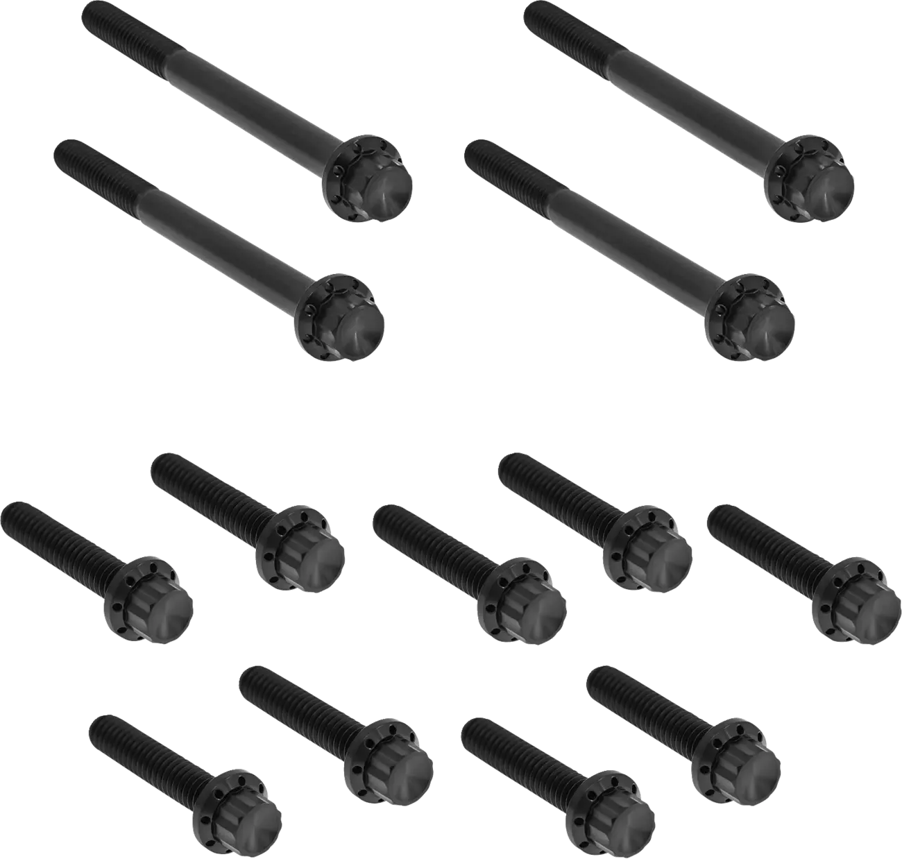 Arlen Ness Outer Primary Cover Titanium 12-Point Bolt Kit Monteringssats fordonsanpassade bild 1 PMMEDIA:e54c25a100352d12