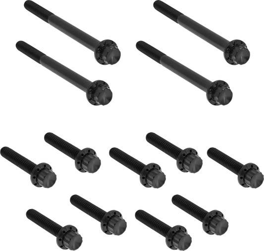 Arlen Ness Outer Primary Cover Titanium 12-Point Bolt Kit Monteringssats fordonsanpassade bild 1 PMMEDIA:e54c25a100352d12