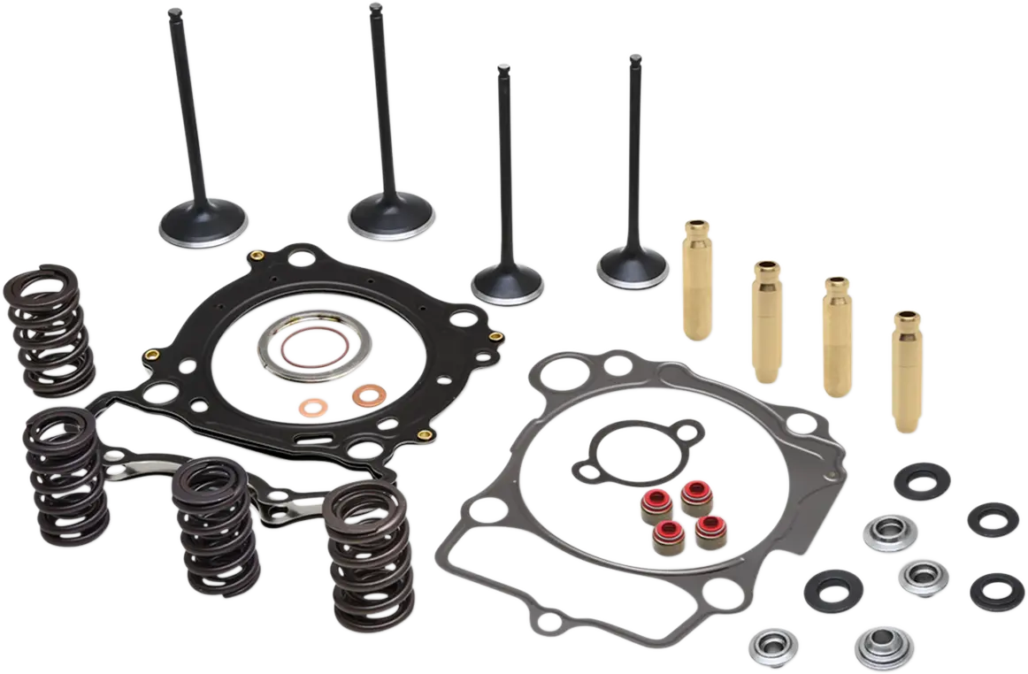 KIBBLEWHITE Cylinder Head Service Kit för Yamaha/UTV bild 1 PMMEDIA:f62bfa1ec2414620