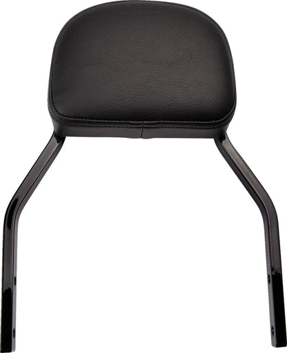 Cobra Detachable Backrest Kit Sissybars bild 1 PMMEDIA:14b3e1466836305c