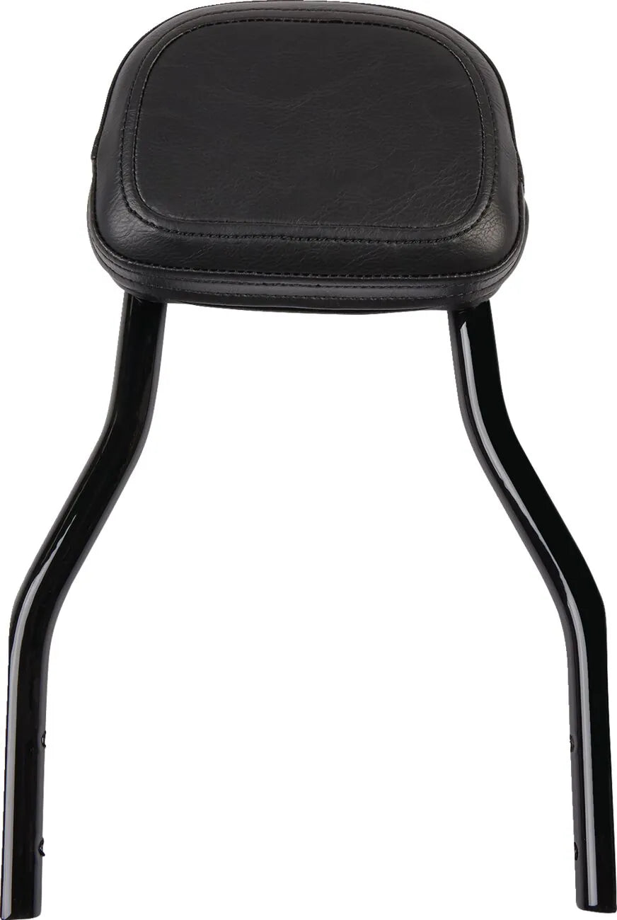 Cobra Detachable Backrest Kit Sissybars bild 1 PMMEDIA:e76c2cdd564e6f2d