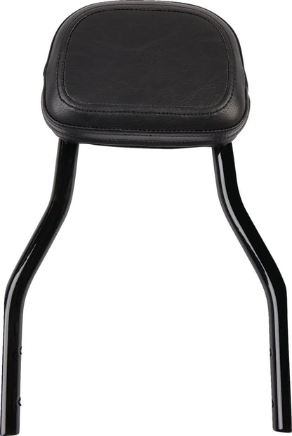 Cobra Detachable Backrest Kit Sissybars bild 1 PMMEDIA:e76c2cdd564e6f2d