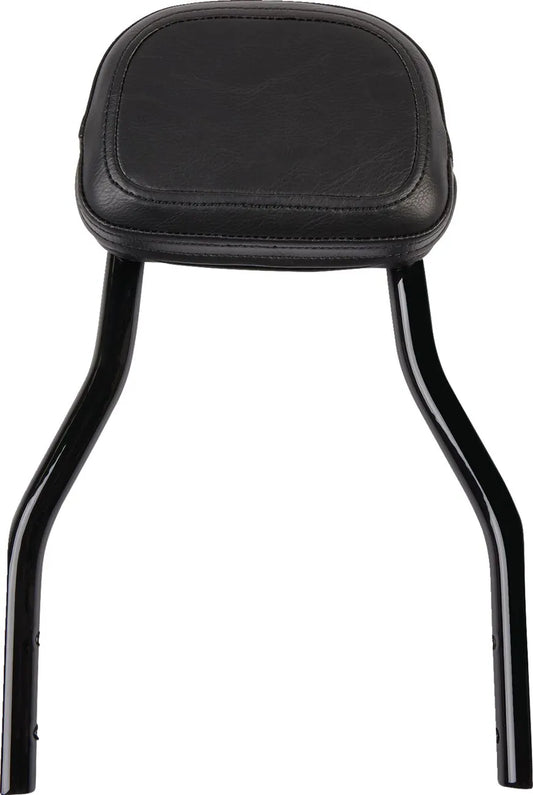 Cobra Detachable Backrest Kit Sissybars bild 1 PMMEDIA:e76c2cdd564e6f2d