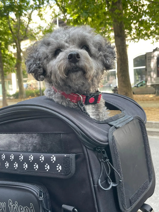 OJ ATMOSFERE METROPOLITANE s.r Pet Bag 30L Svart bild 2 PMMEDIA:011cbcfc7cb333b2