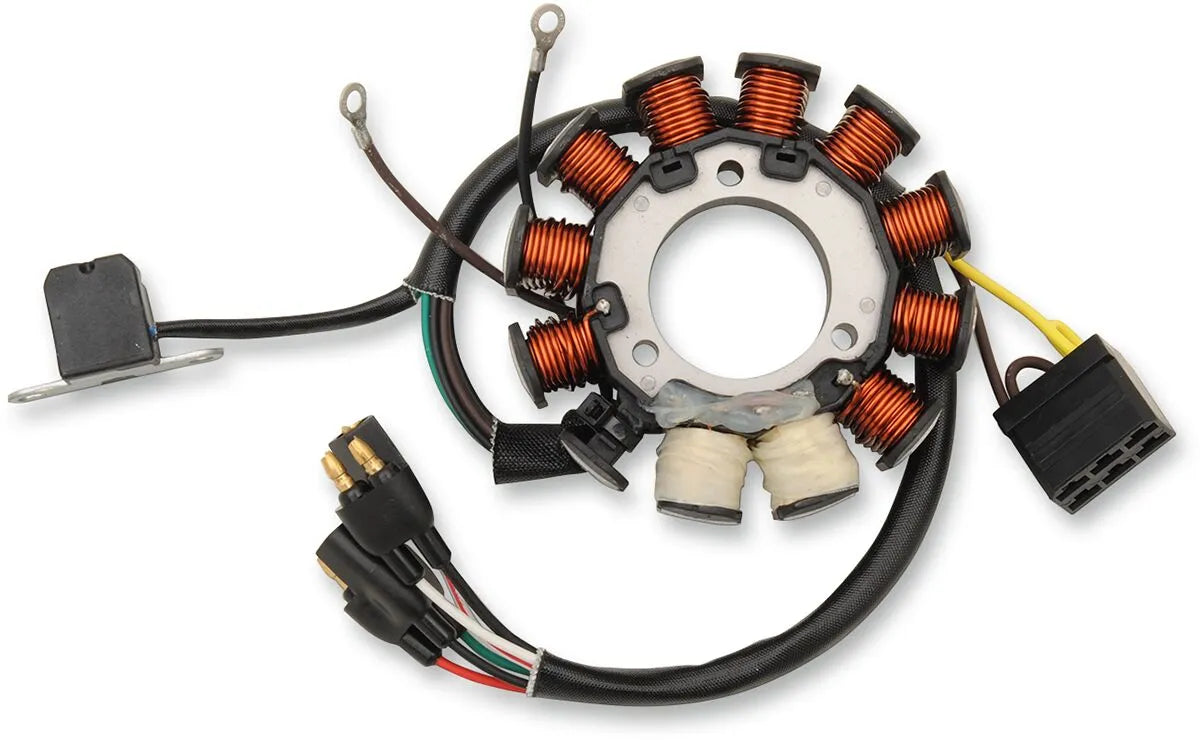 RICK'S MOTORSPORT ELECTRIC Stator Polaris bild 1 PMMEDIA:7c57718b1db9e0f5
