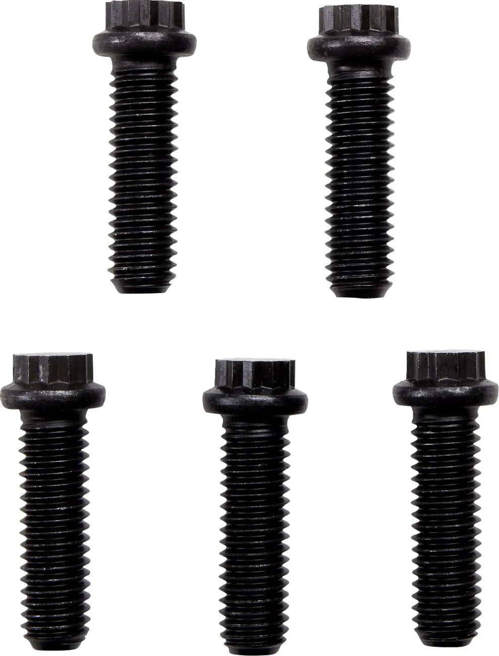 ALLOY ART Universal Cush Drive Kedjeomvandlare bild 2 PMMEDIA:e8aa8e0eb979715e