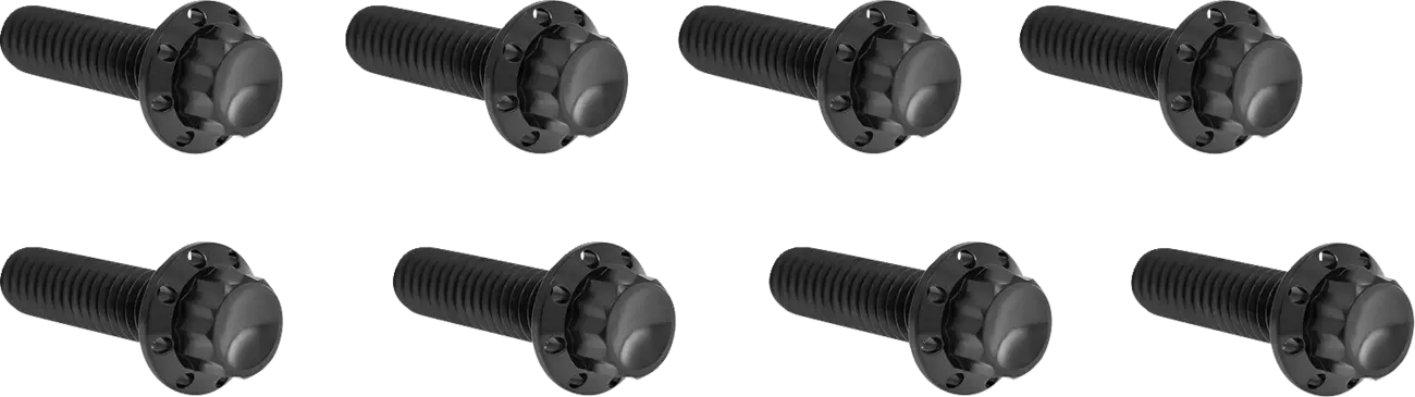 Arlen Ness Lifter Block Titanium 12-Point Bolt Kit Monteringssats fordonsanpassade bild 2 PMMEDIA:91d68b19c27d18ec