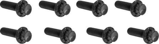 Arlen Ness Lifter Block Titanium 12-Point Bolt Kit Monteringssats fordonsanpassade bild 2 PMMEDIA:91d68b19c27d18ec