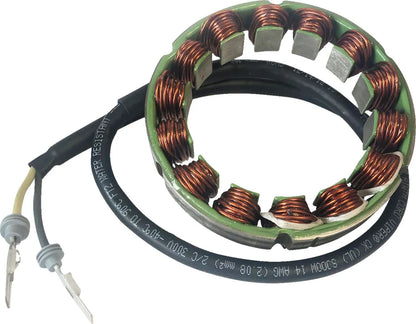 RICK'S MOTORSPORT ELECTRIC Stator till Ducati bild 1 PMMEDIA:6cb1a7e6b24ed021