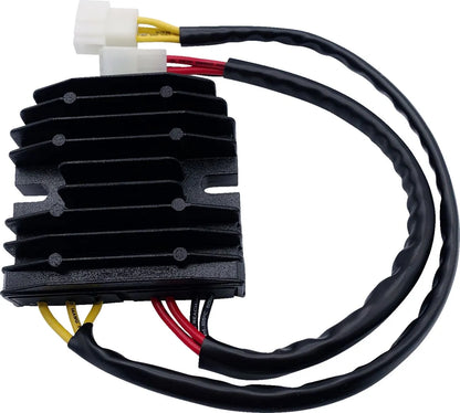 RICK'S MOTORSPORT ELECTRIC Hot Shot Lithium-Ion kompatibel regulator bild 1 PMMEDIA:2fdd8f060f99d60b