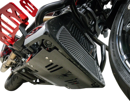 Thrashin Supply Co Skid Plate Motorskydd bild 12 PMMEDIA:b1689c2d3c7b1818