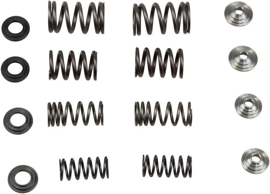 KIBBLEWHITE Ventilfjädersats för CRF450R bild 1 PMMEDIA:85381cb1f1d67388