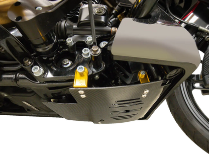 Thrashin Supply Co Skid Plate Motorskydd bild 9 PMMEDIA:dd169a0319296d1a