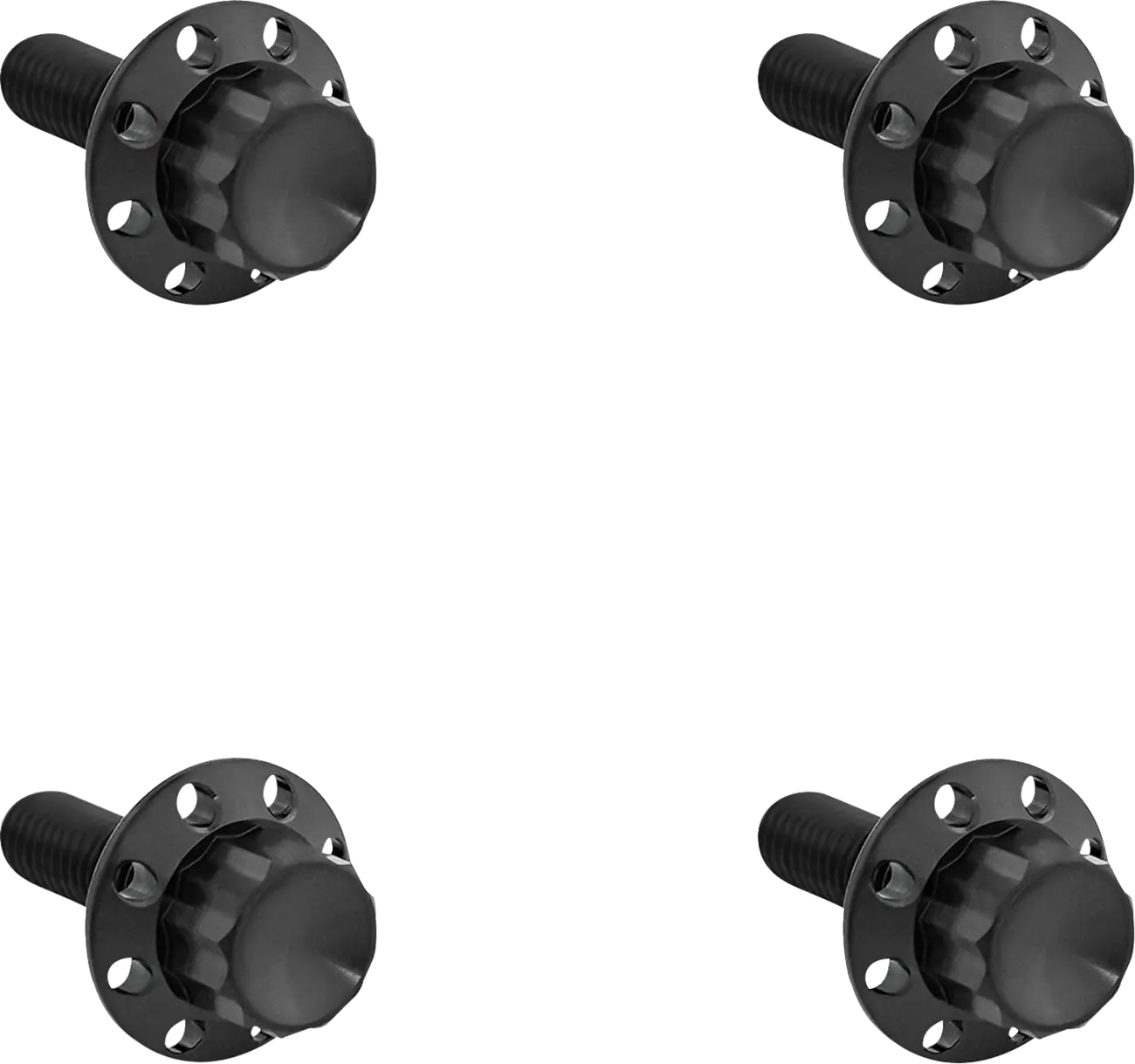 Arlen Ness Titanium 12-Point Windshield Bolts Monteringssats fordonsanpassade bild 1 PMMEDIA:d1b47d947273ccb2