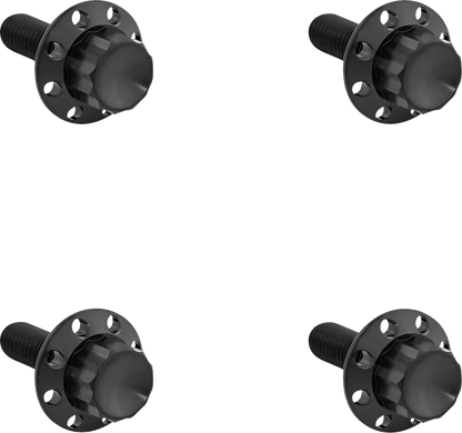 Arlen Ness Titanium 12-Point Windshield Bolts Monteringssats fordonsanpassade bild 1 PMMEDIA:d1b47d947273ccb2