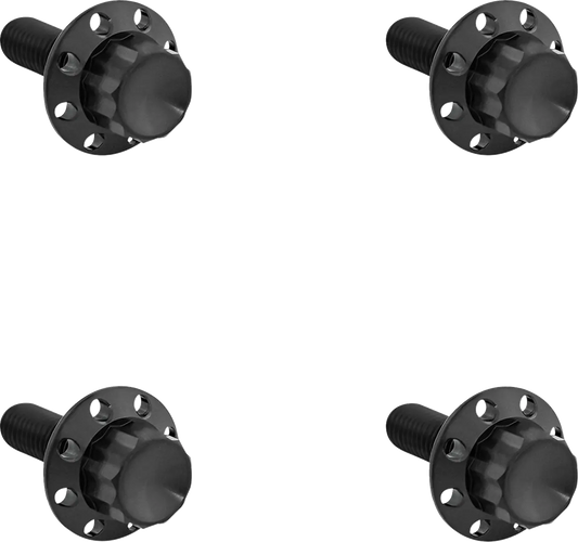 Arlen Ness Titanium 12-Point Windshield Bolts Monteringssats fordonsanpassade bild 1 PMMEDIA:d1b47d947273ccb2