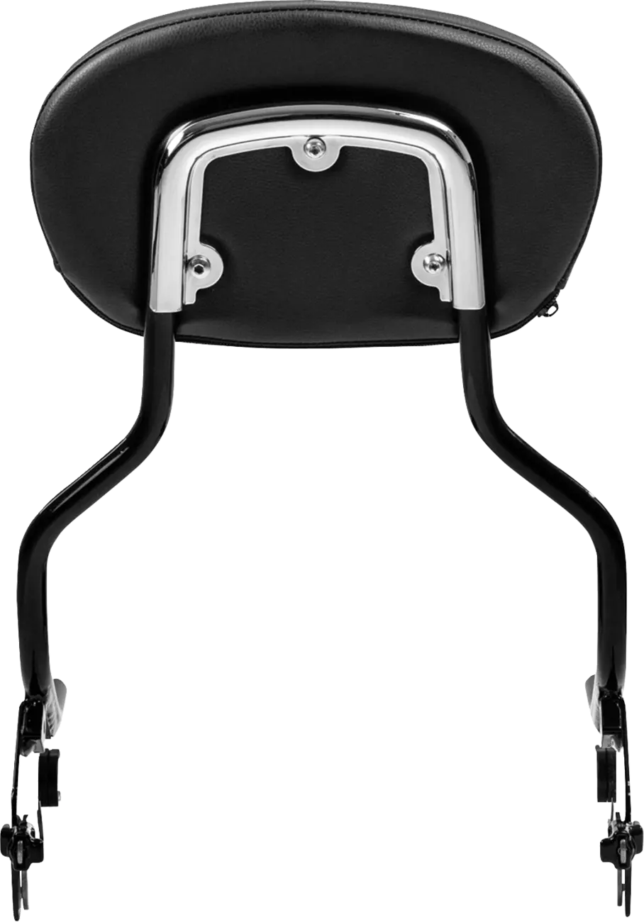 Saddlemen 3-Point Sissy Bar Pad Bracket Ryggstöd för sadlar bild 5 PMMEDIA:5bddb5dcc8821c53