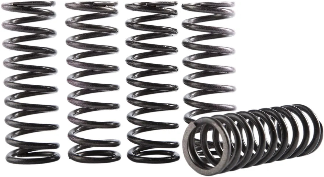 HINSON RACING Kopplingsfjäder Kit bild 1 PMMEDIA:8f435b61edc2847e