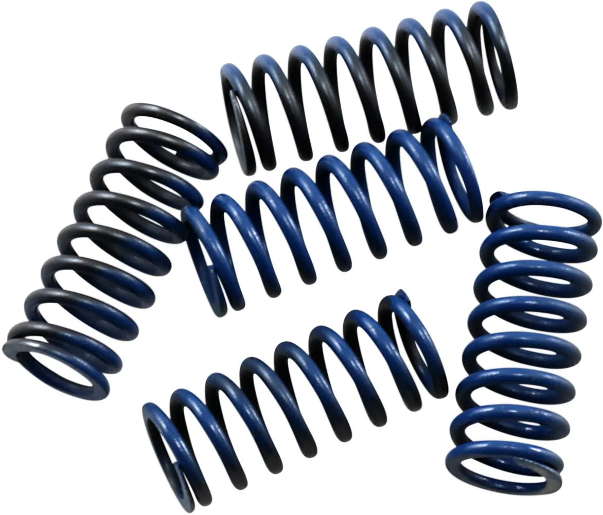 HINSON RACING Hi-Temp Kopplingsfjädersats bild 1 PMMEDIA:cead5682c616f8bd