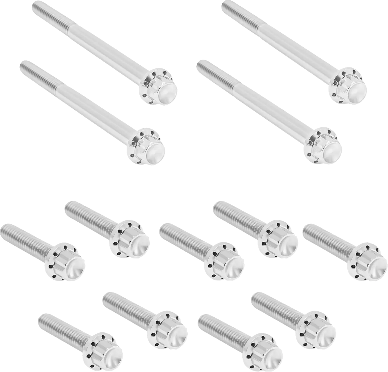 Arlen Ness Outer Primary Cover Titanium 12-Point Bolt Kit Monteringssats fordonsanpassade bild 2 PMMEDIA:b81d57f47724e4b5