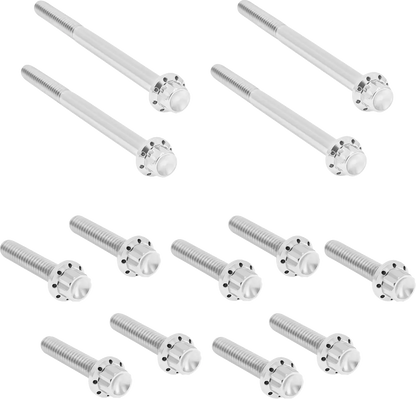 Arlen Ness Outer Primary Cover Titanium 12-Point Bolt Kit Monteringssats fordonsanpassade bild 2 PMMEDIA:b81d57f47724e4b5