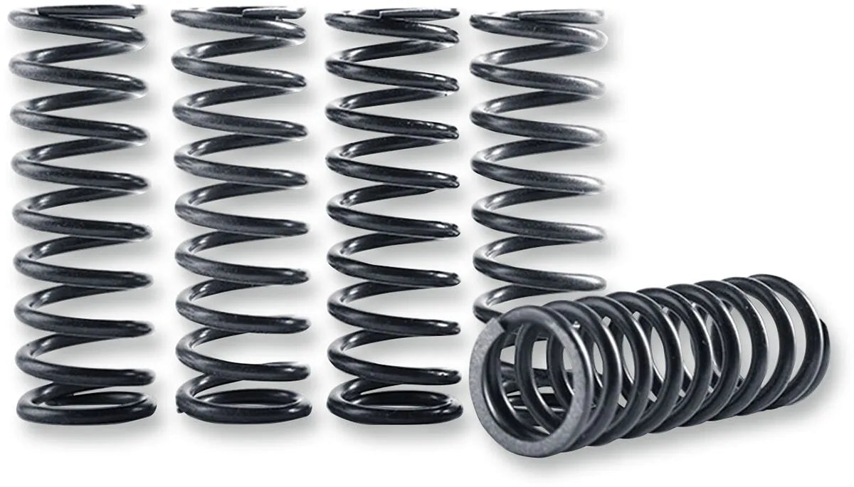HINSON RACING Hi-Temp Kopplingsfjäder Kit bild 1 PMMEDIA:82031eb6a5880565