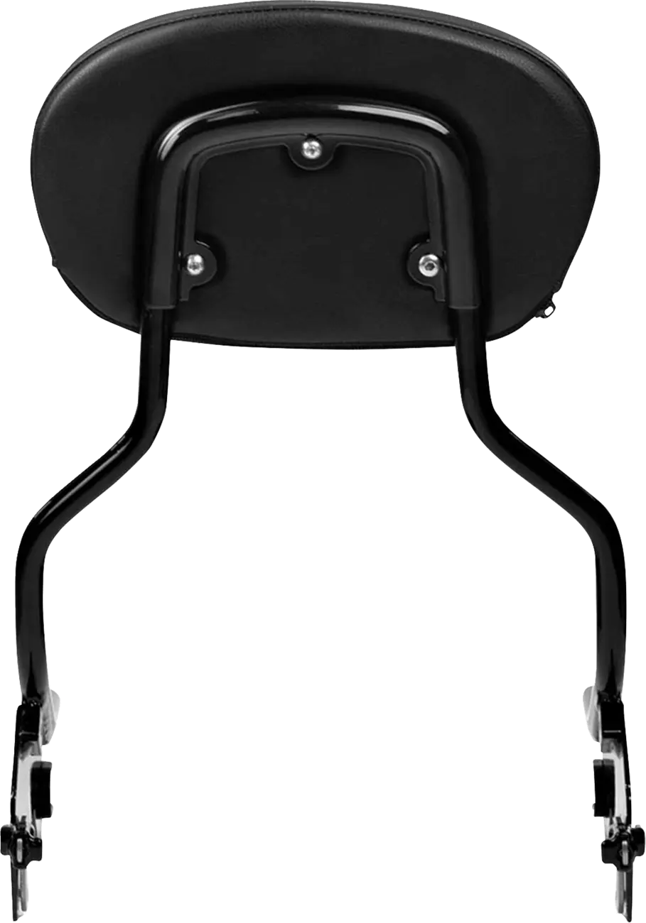 Saddlemen 3-Point Sissy Bar Pad Bracket Ryggstöd för sadlar bild 7 PMMEDIA:65b7e855d757ae35